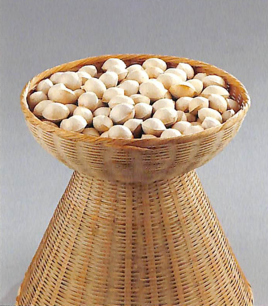 능인-菱仁 - hanyang2